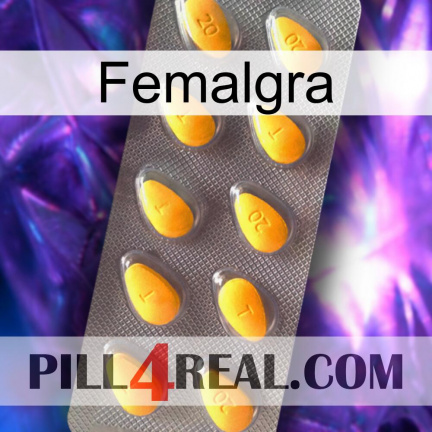 Femalgra cialis1
